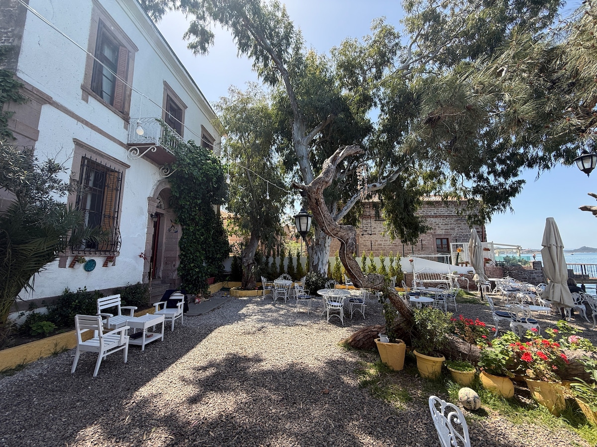 A serene outdoor area is surrounded by historic architecture. White chairs and tables are arranged on a gravel surface, accompanied by colorful flower pots. A large tree provides shade, enhancing the inviting atmosphere of the space with views of the nearby waterfront.