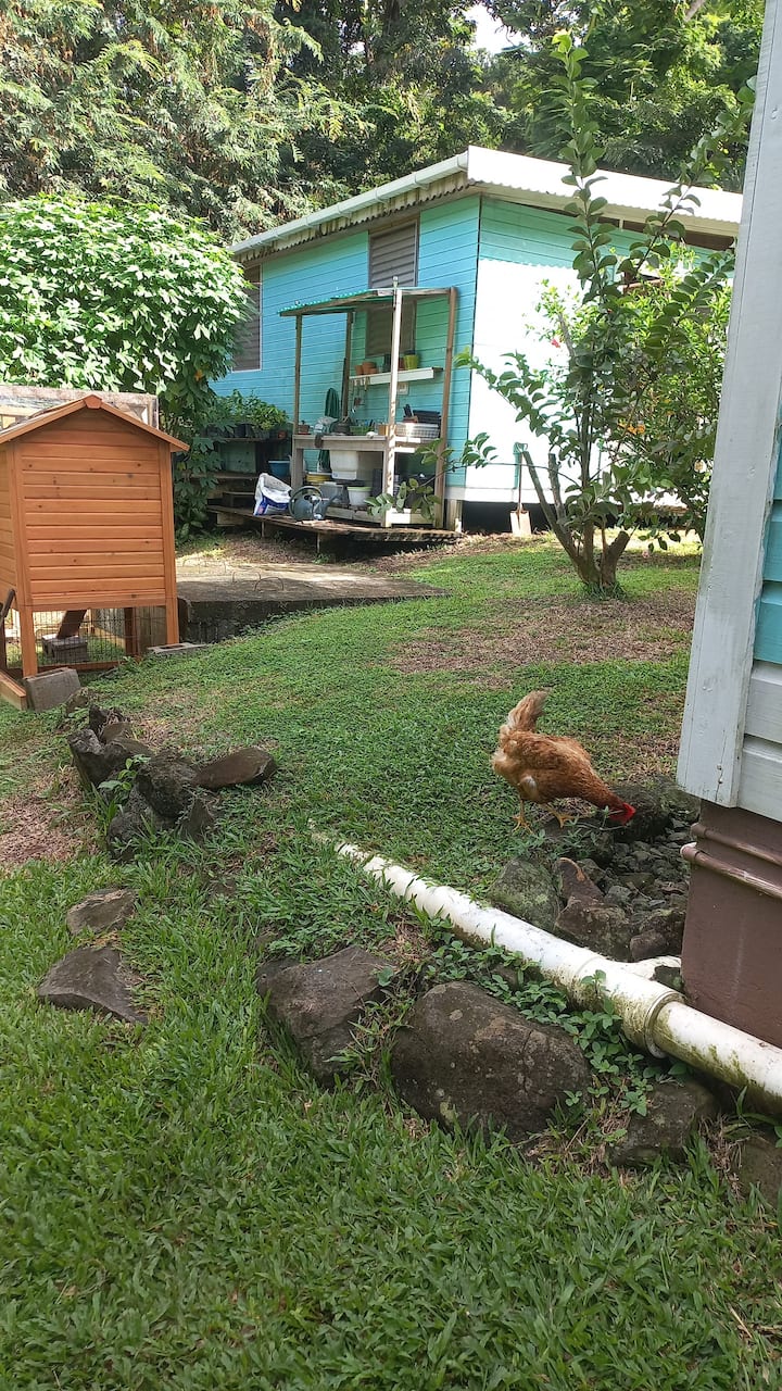 Imagen 1 de Una granja en funcionamiento en las colinas