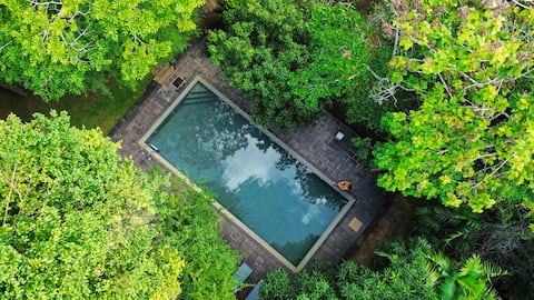 A Tree Lodge in the Jungle