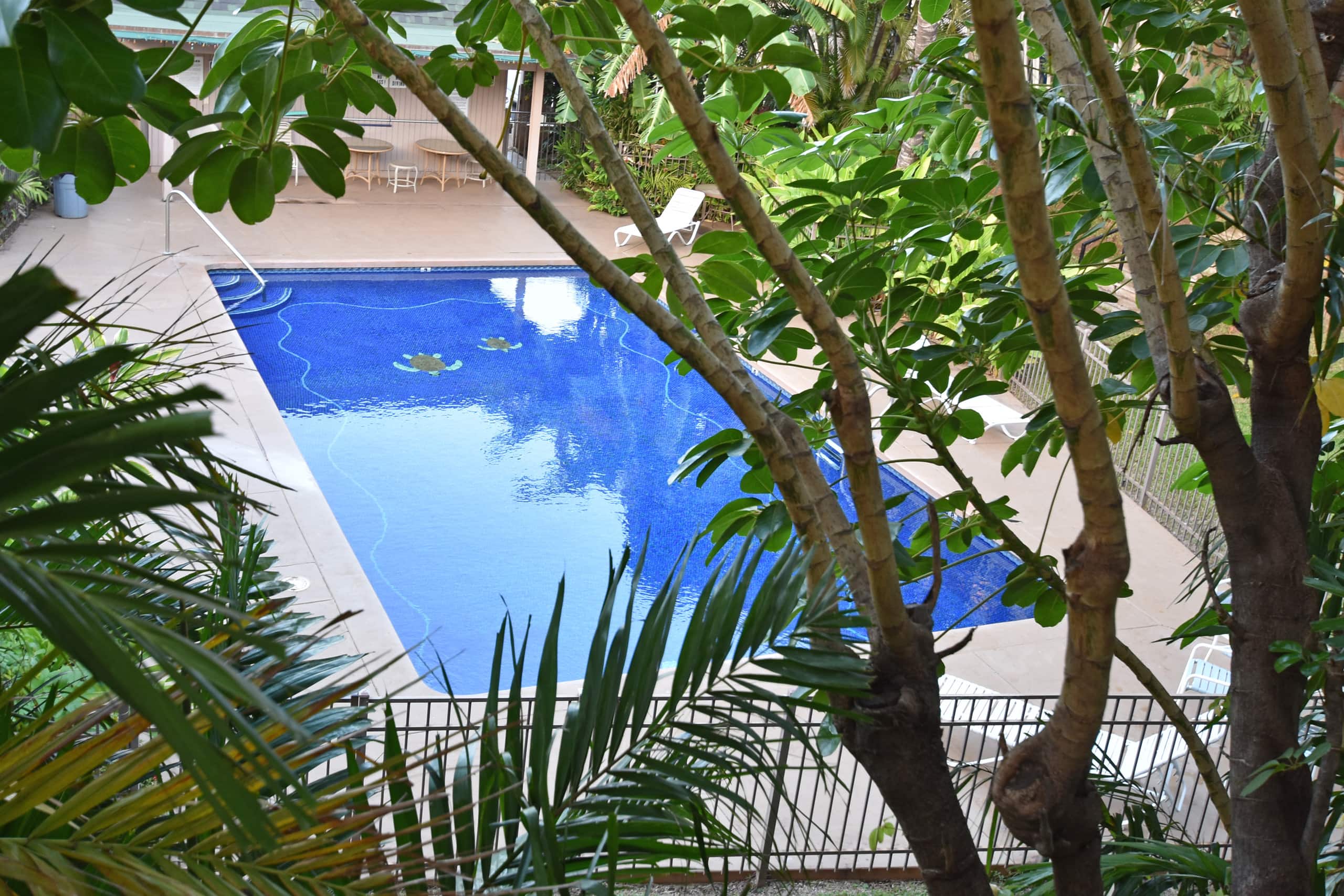 2 Bedroom Condo 2 Blocks To Charley Young Beach - Image 14