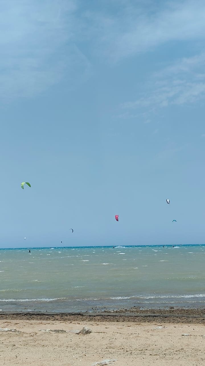 A serene beach landscape features a sandy shore meeting gentle waves. Colorful kites are seen gliding above the water, while a clear blue sky extends into the horizon. The scene invites relaxation and appreciation of the coastal environment.
