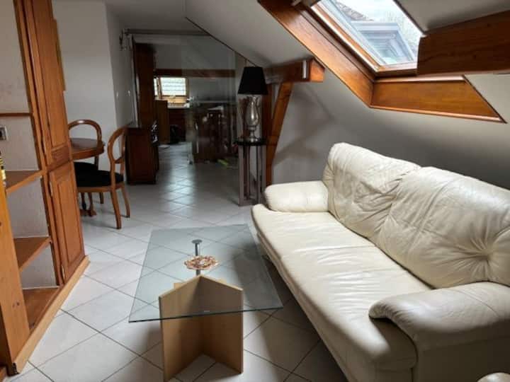Apt70m2 Entre Rhin Et Route Du Vin 17min De Colmar - Breisach am Rhein