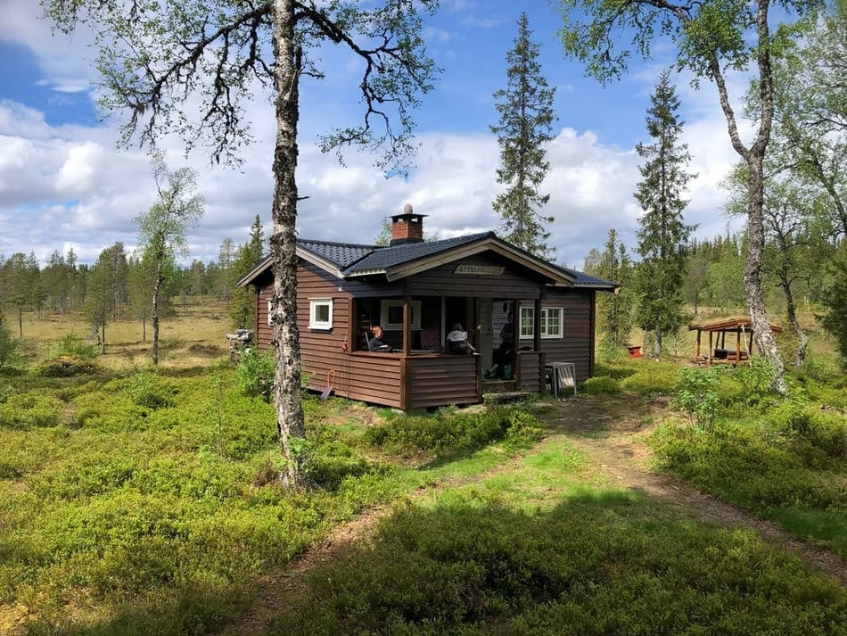 A charming wooden cabin is surrounded by lush greenery and tall trees, offering a peaceful retreat. The covered porch features seating areas for relaxation, while a brick chimney adds character. A swing set is visible in the distance, inviting outdoor enjoyment in the natural landscape.