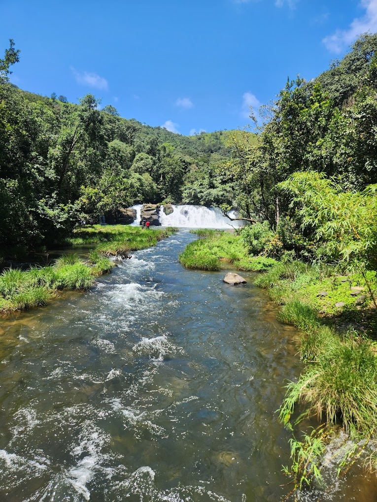 A serene river flows through a lush green landscape, with gentle ripples visible on the water's surface. In the distance, a waterfall cascades down rocky formations, surrounded by dense foliage and vibrant greenery. Clear blue skies peek through the trees, enhancing the natural beauty of the scene.