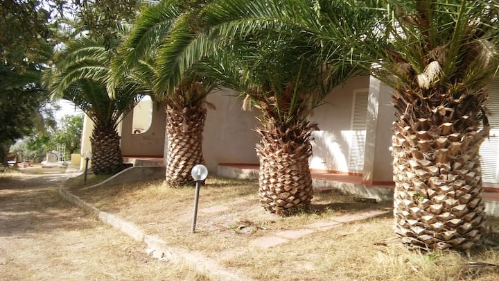 Villa Del Palmeto - Badesi