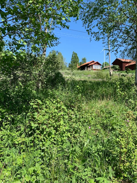 Lakeside, high standard, unique environment