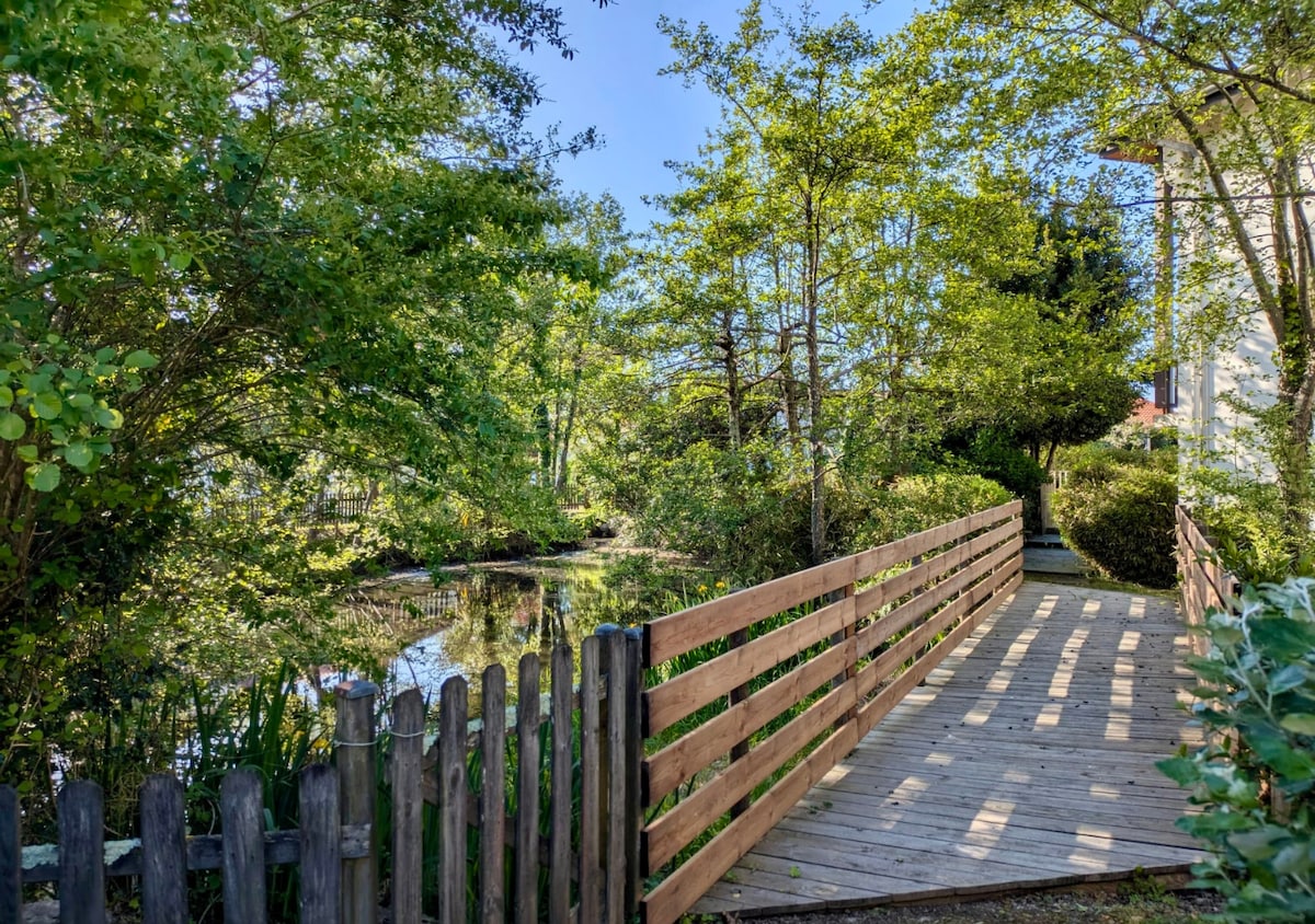 A wooden walkway is seen leading through vibrant greenery towards a serene pond. Sunlight filters through the trees, casting patterns on the wooden planks. The surrounding foliage reflects the tranquility of the natural environment.