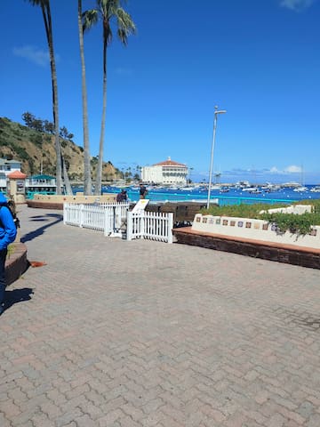 Catalina Island Mid Century Modern Home