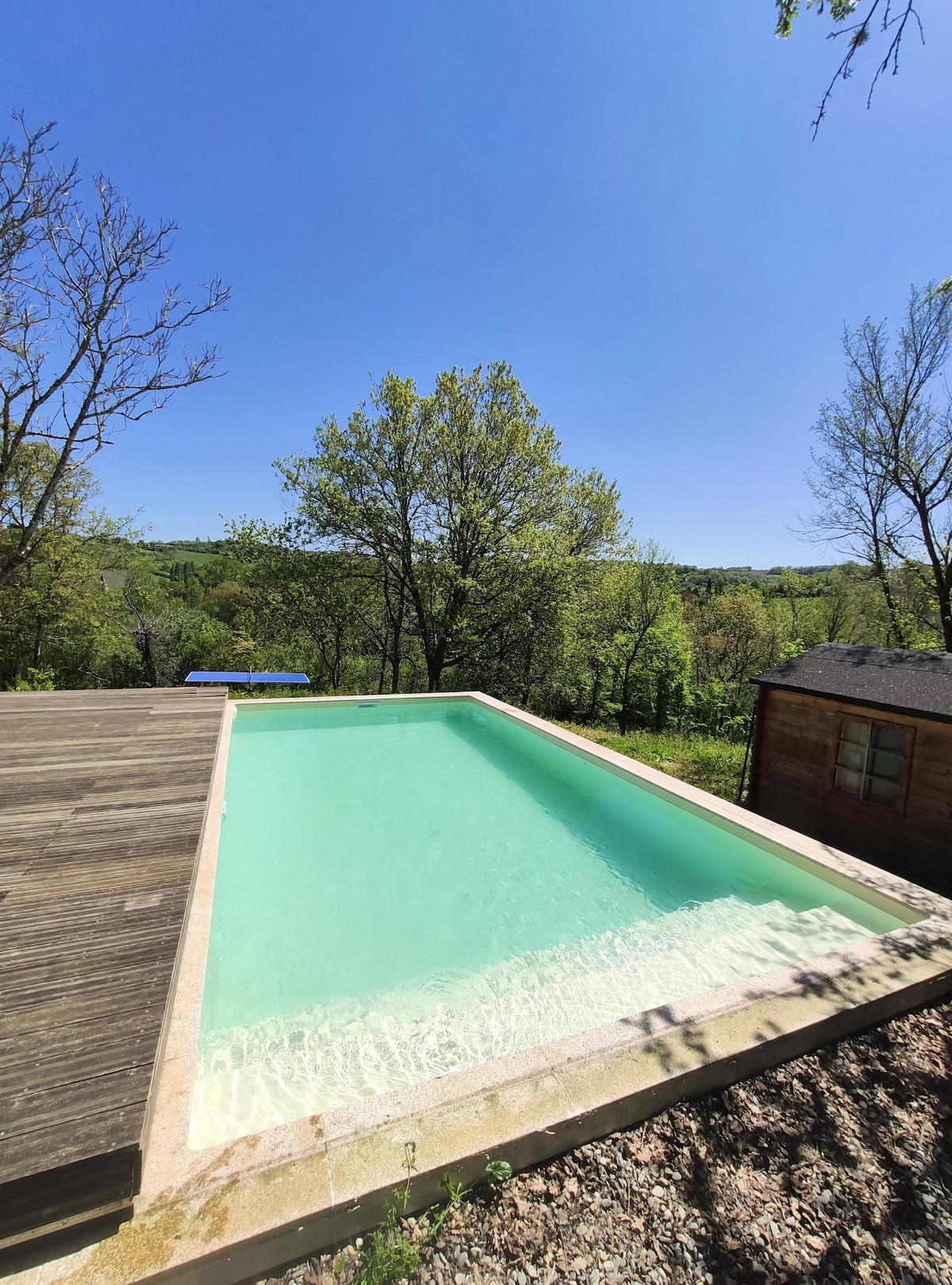 A tranquil pool is surrounded by a wooden terrace, offering a refreshing escape. Lush greenery is visible in the background, complemented by clear blue skies above. A wooden cabin is located nearby, adding to the natural ambiance of the outdoor space.