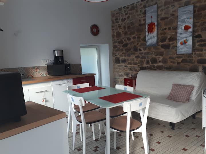 Maison De Pêcheur Paimpol - Lézardrieux