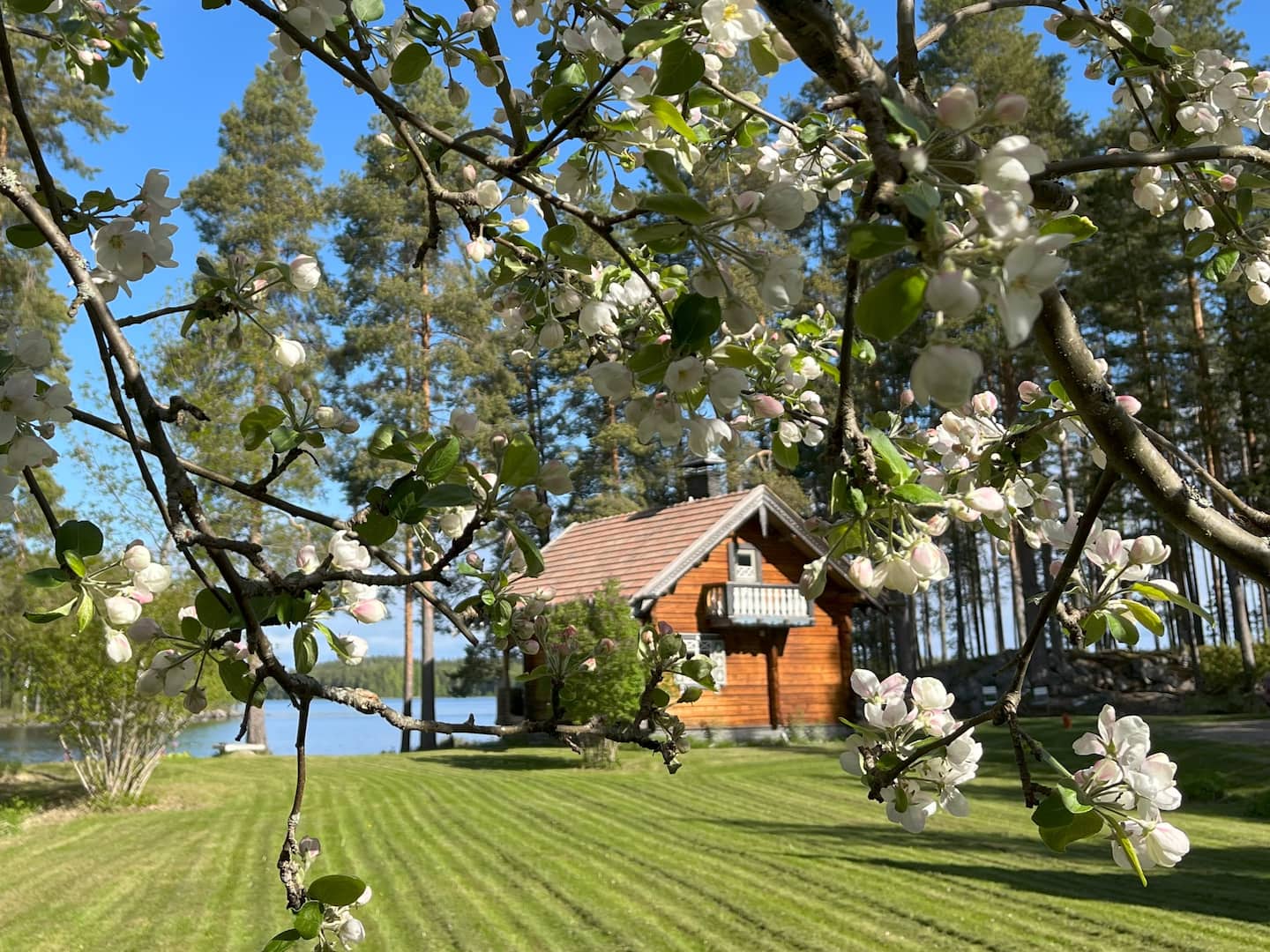 Idyllinen Hirsimökki Ympärivuotiseen Käyttöön 5