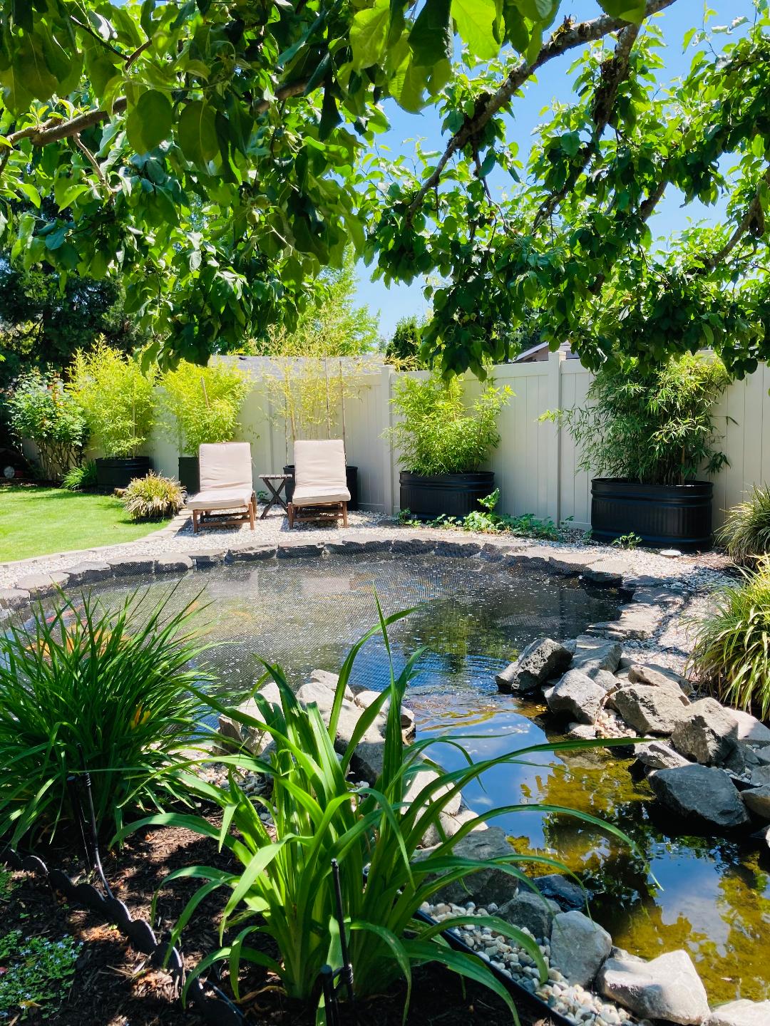 A serene koi pond is framed by lush greenery and decorative plants. Two loungers are positioned on a stone terrace beside the pond, offering a peaceful retreat. Sunlight filters through the leaves of nearby trees, creating a tranquil atmosphere in the garden oasis.