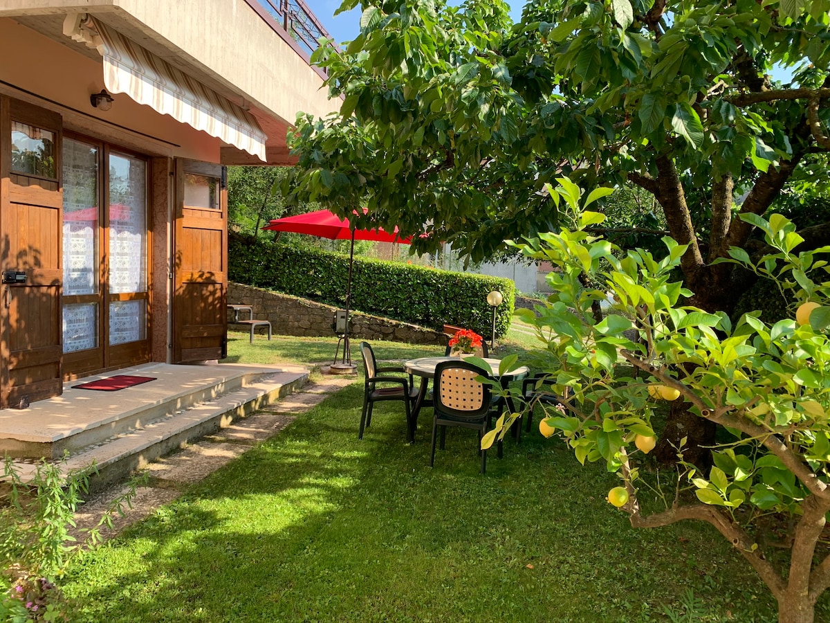 A spacious outdoor area is shown, featuring a shaded table with four chairs under a red umbrella. Lush greenery surrounds the space, including a fruit tree. Two wooden doors lead into the apartment, and a grassy lawn is visible, offering a peaceful retreat.