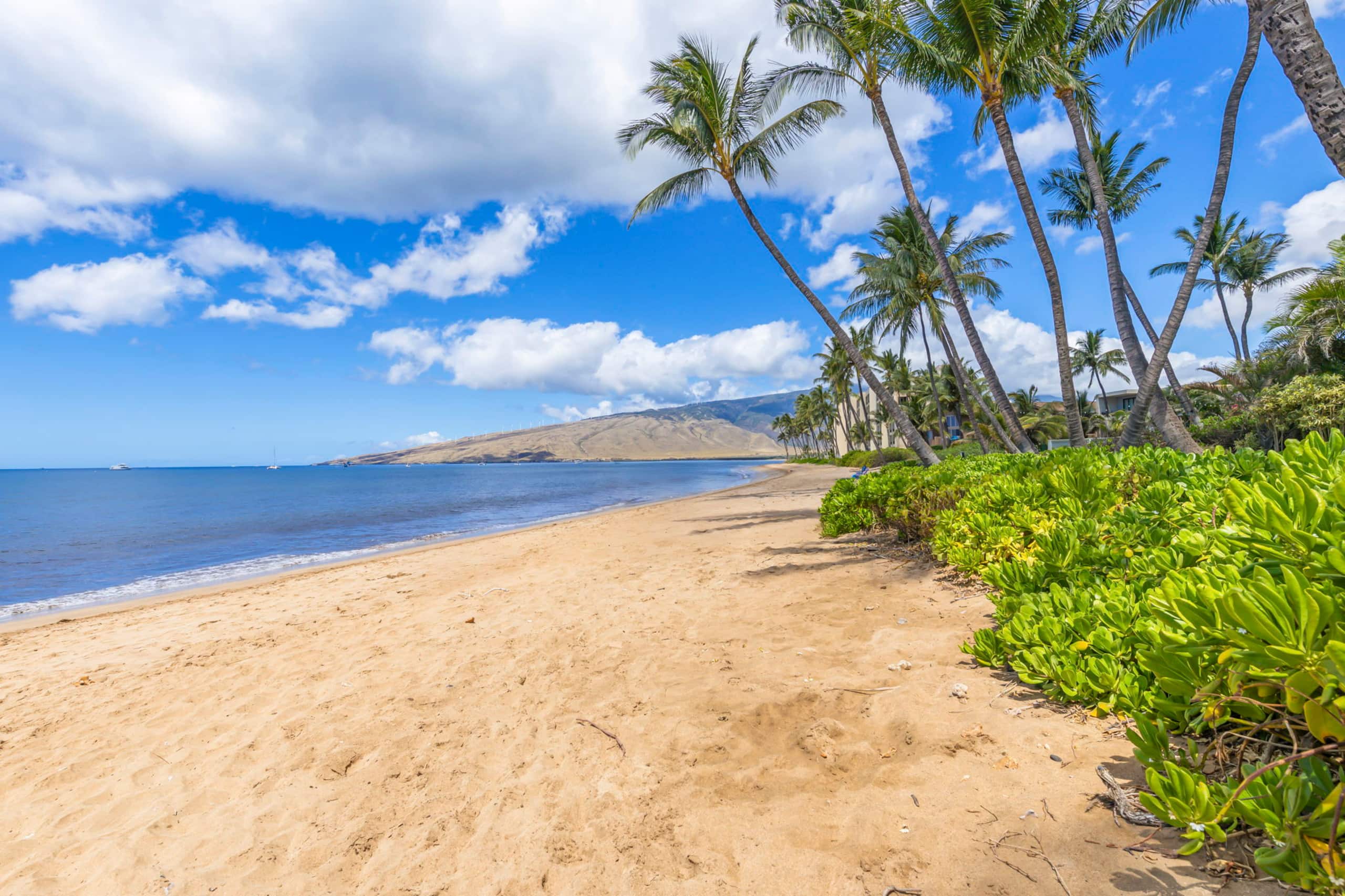 Condo in Kihei · ★5.0 · 1 bedroom · 2 beds · 2 baths - Image 3