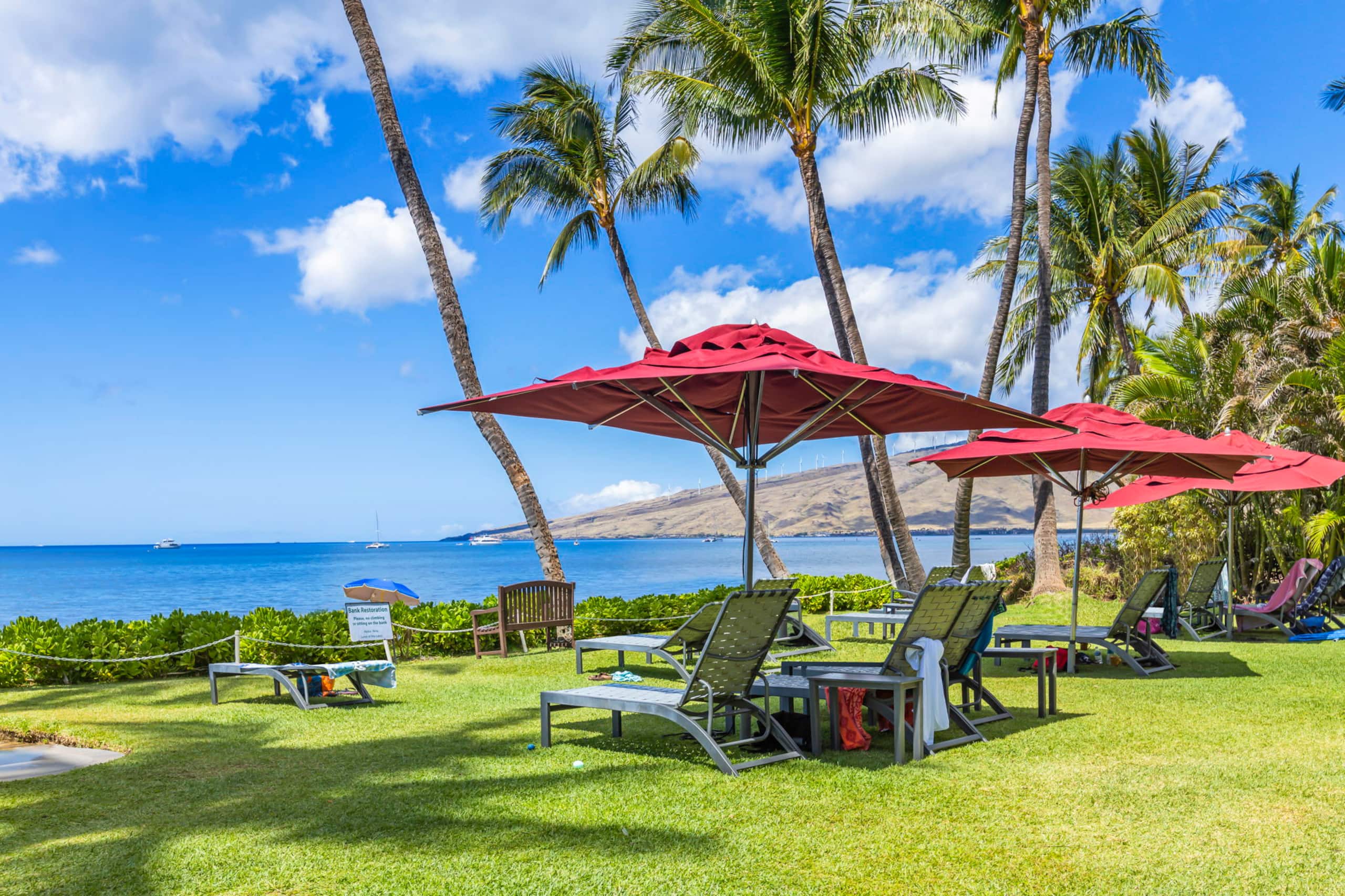 Condo in Kihei · ★5.0 · 1 bedroom · 2 beds · 2 baths - Image 2