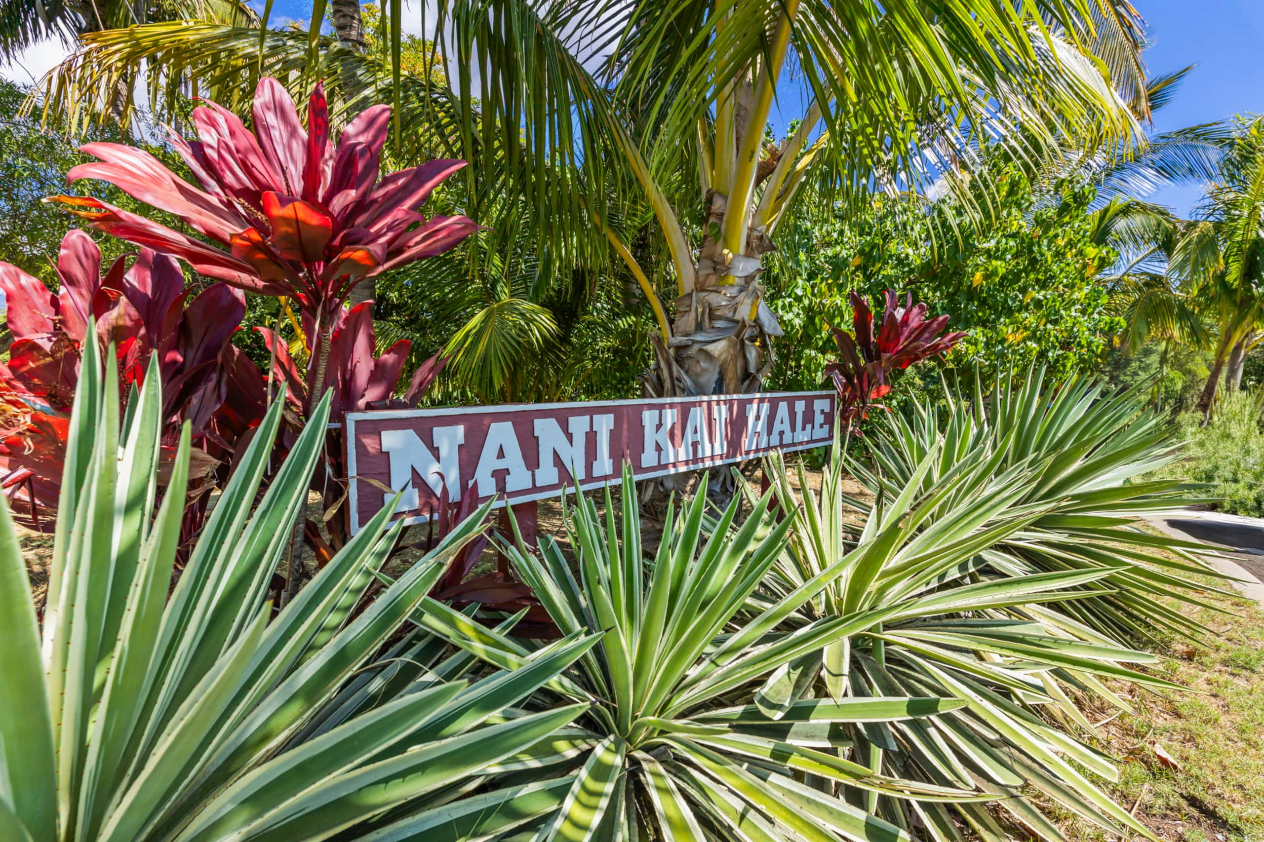 Condo in Kihei · ★5.0 · 1 bedroom · 2 beds · 2 baths - Image 55