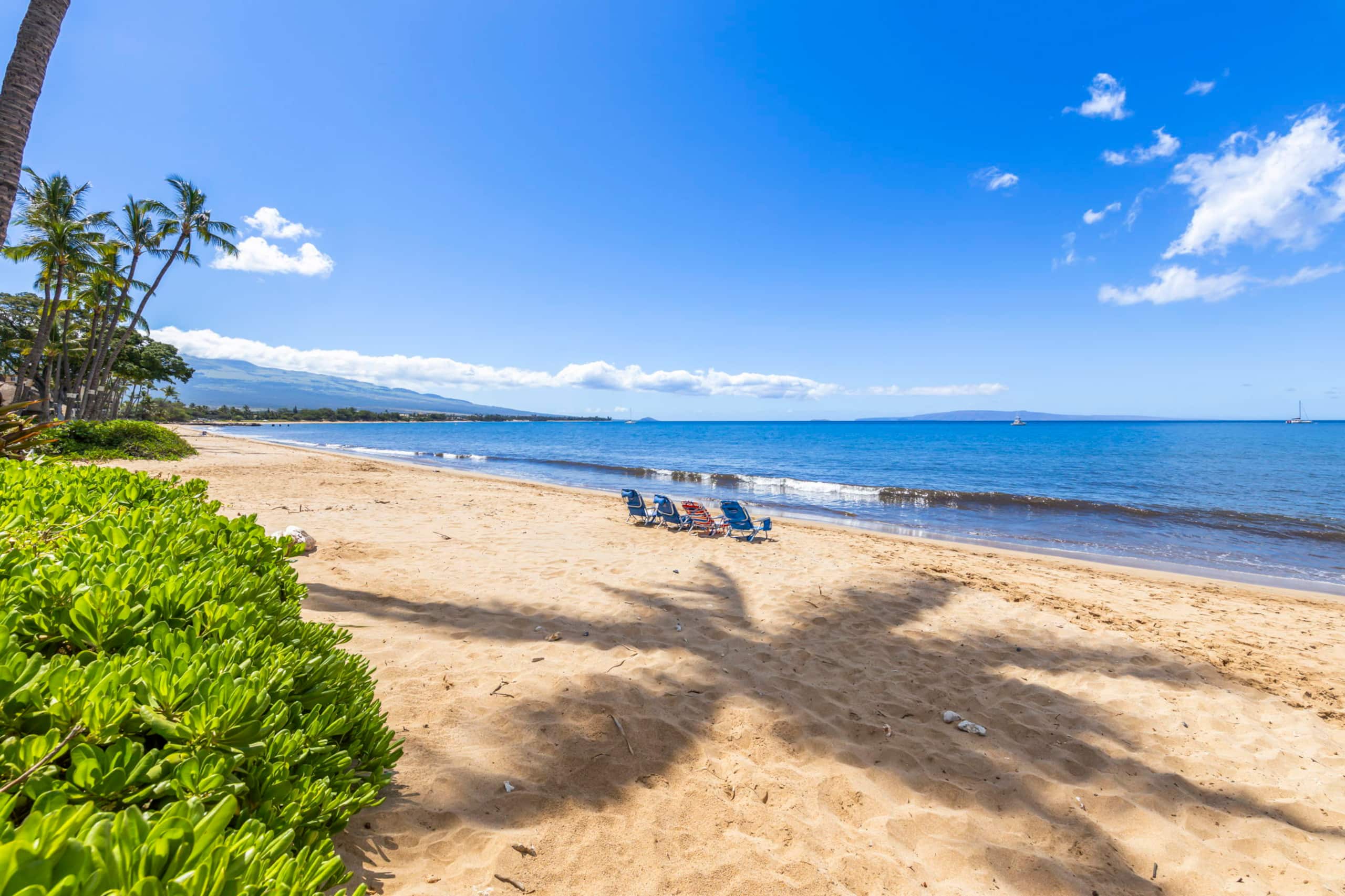 Condo in Kihei · ★5.0 · 1 bedroom · 2 beds · 2 baths - Image 31
