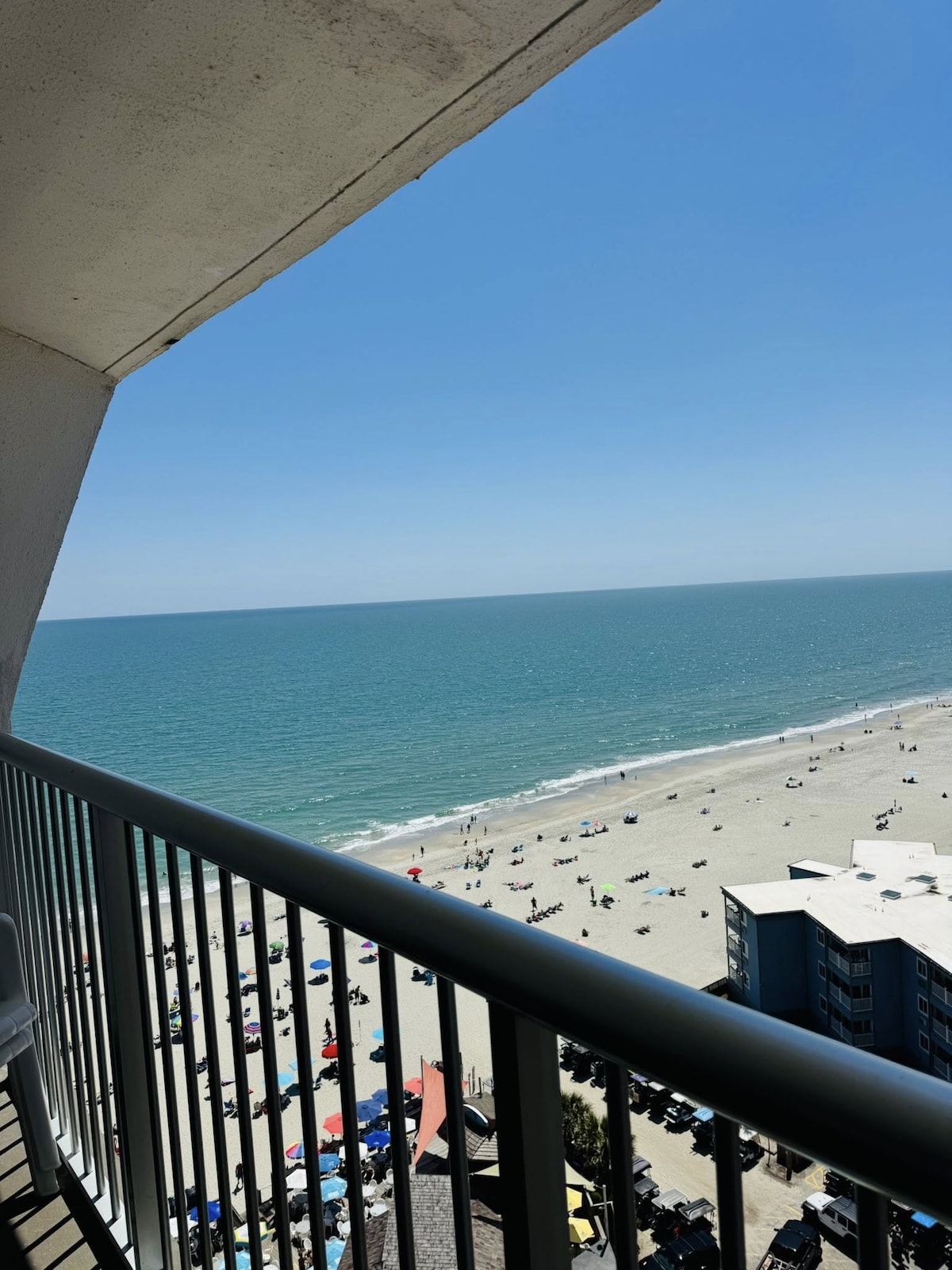 Ocean Annie's Sea Turtle's Nest in Myrtle Beach, South Carolina