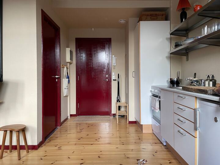 Central Apartment In Frederiksberg - Kopenhagen