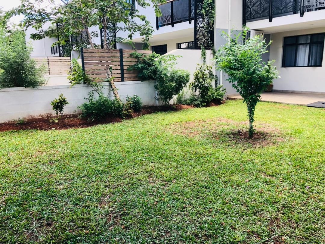 A spacious yard is shown, featuring well-maintained green grass and a small tree at the center. Surrounding shrubs add to the greenery, with a white wall and modern building visible in the background. The area appears inviting for outdoor activities.