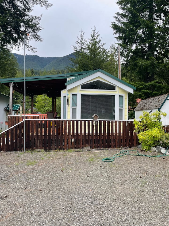 Mountain Frog Cabin Packwood Hot Tub - Packwood, WA