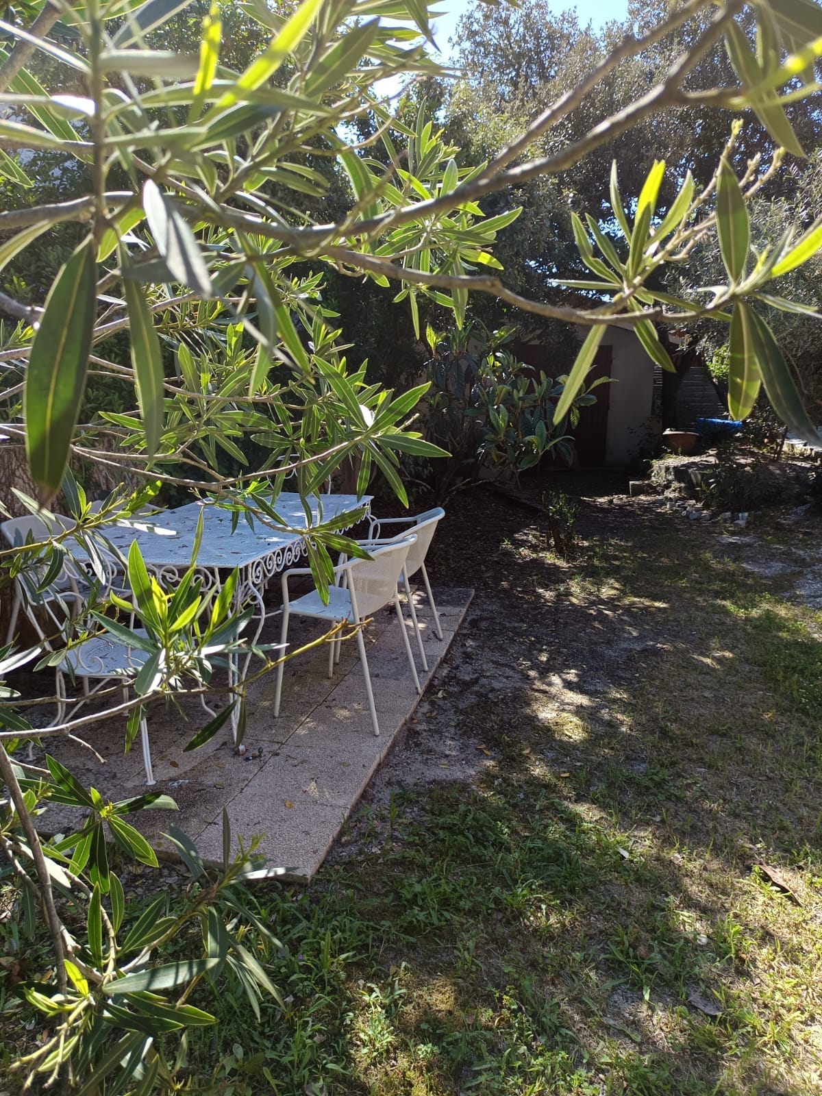 An outdoor space is featured, showcasing a small table with four chairs positioned on a paved area. Surrounding greenery forms a natural frame, contributing to a serene environment. A glimpse of a garden area can be seen in the background, enhancing the tranquil setting.