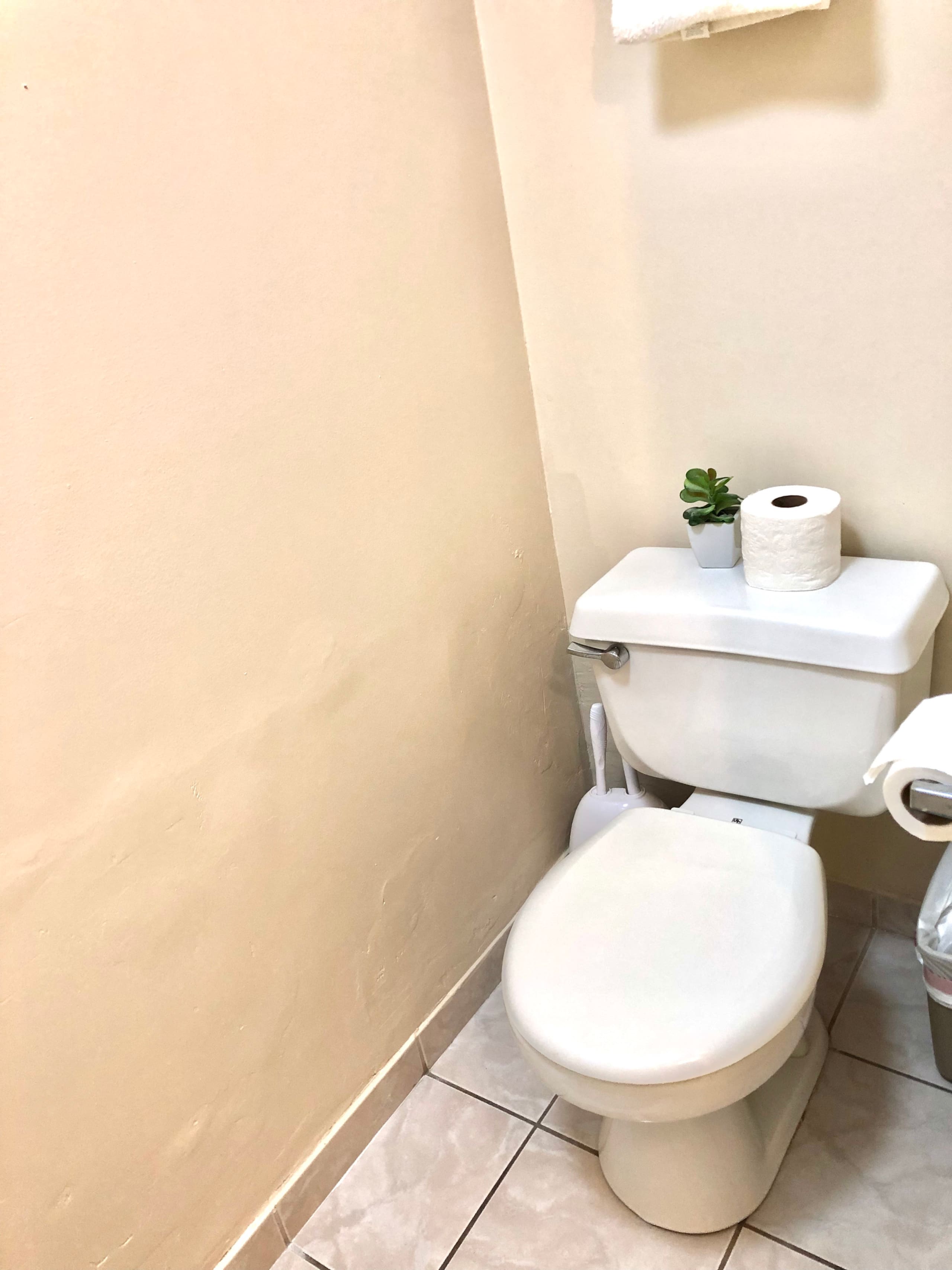 Condo in Honolulu · ★4.72 · Studio · 1 bed · 1 private bath - Image 4