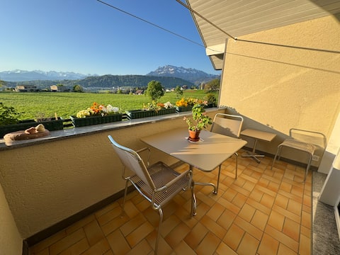 Apartment with Alpine view