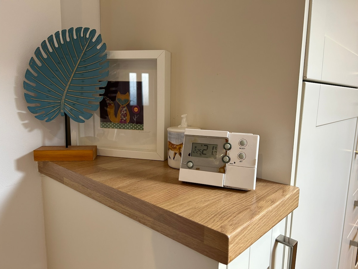 A wooden countertop is featured, adorned with a small decorative plant and a framed picture. A digital thermostat sits alongside a container, providing a functional aspect to the space.