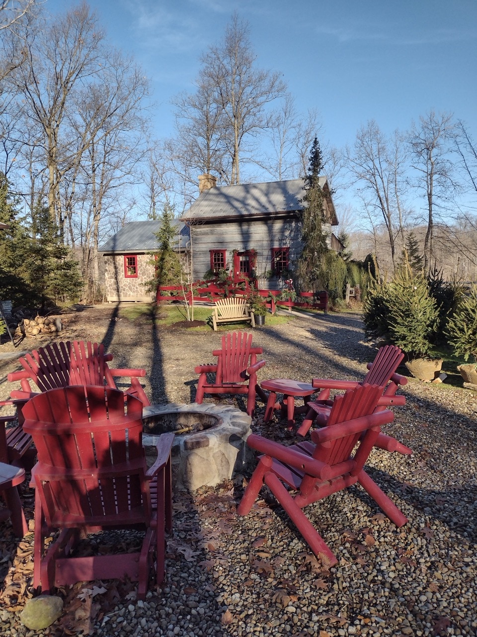 An outdoor space features several red Adirondack chairs arranged around a stone firepit. The cabin, constructed from logs, is framed by trees and greenery, with a gravel pathway leading up to it. Sunlight casts soft shadows on the ground, suggesting a peaceful environment.