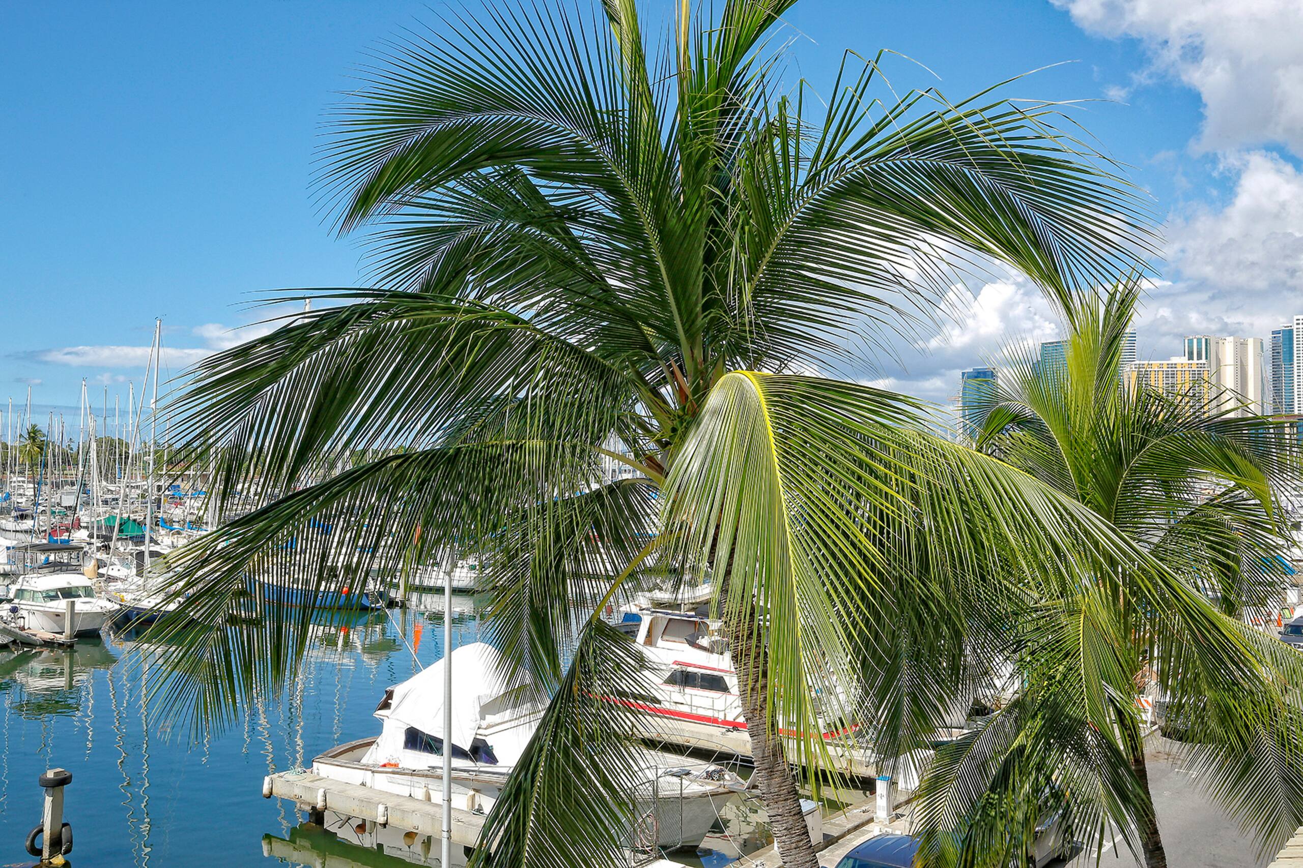 Condo in Honolulu · ★4.76 · 1 bedroom · 2 beds · 1 private bath - Image 22