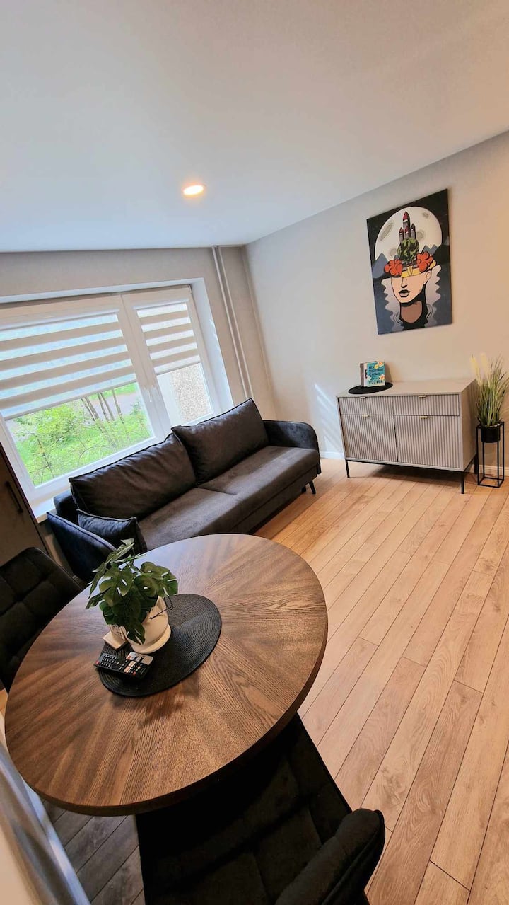Short-term Rental In Kaunas Near The Clinics. - Kaunas