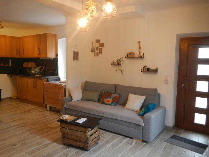 dnevni boravak i kuhinja u otvorenom rasporedu