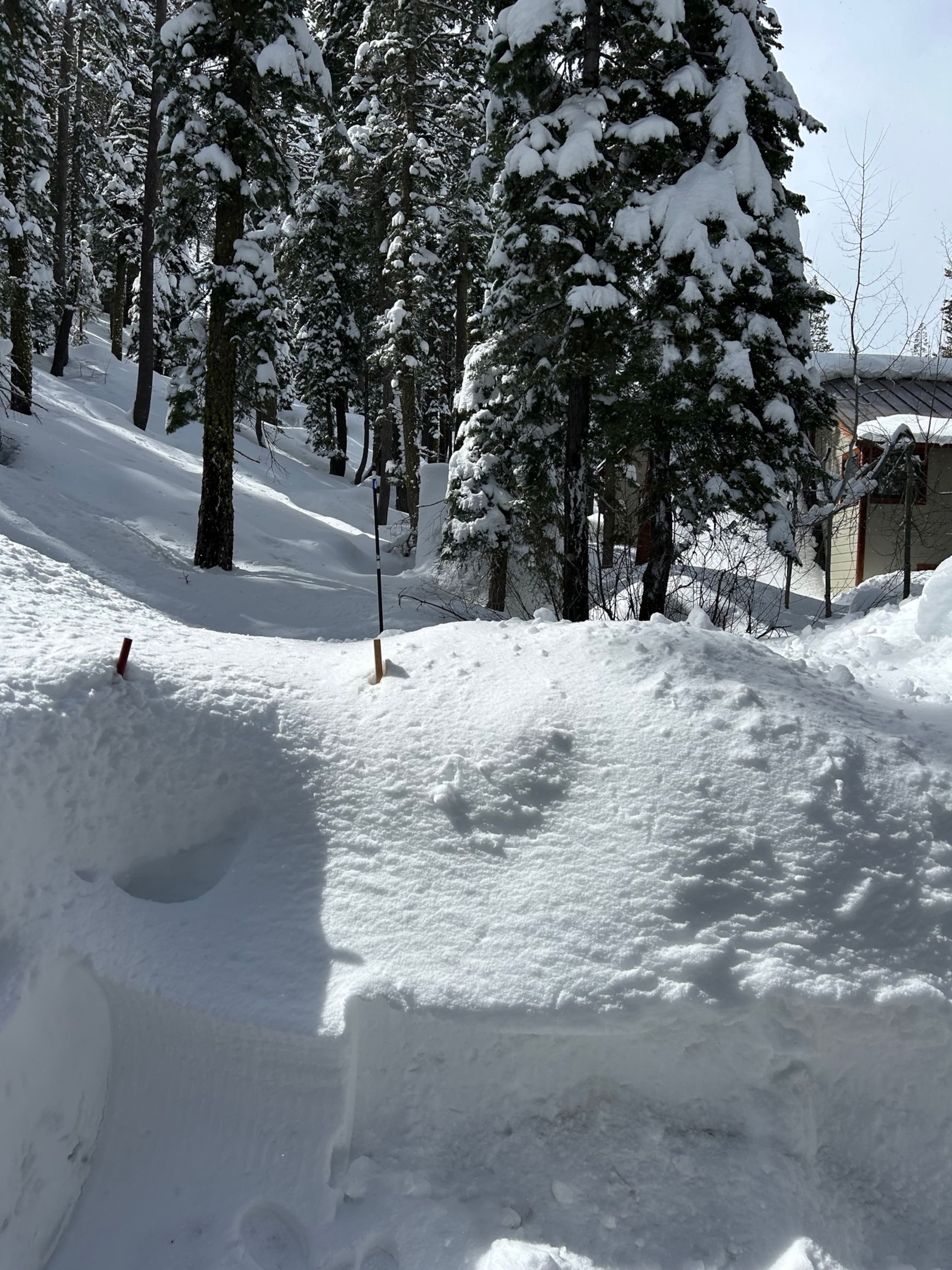 Cozy 5BR Cabin Steps from Donner Lake Beach - Photo 13