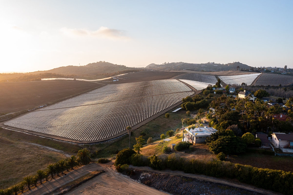 A sweeping landscape captures vast fields of neatly arranged rows under soft sunlight, showcasing agricultural land. In the foreground, a cluster of greenery and a residential structure can be seen, framed by rolling hills in the background.