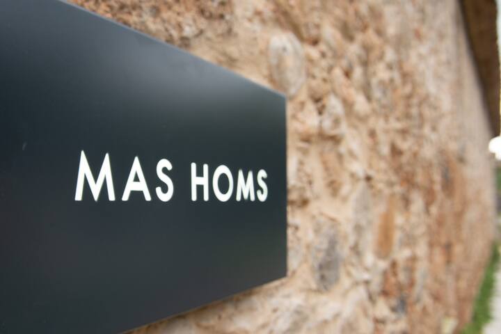 Mas Homs gallery image 2