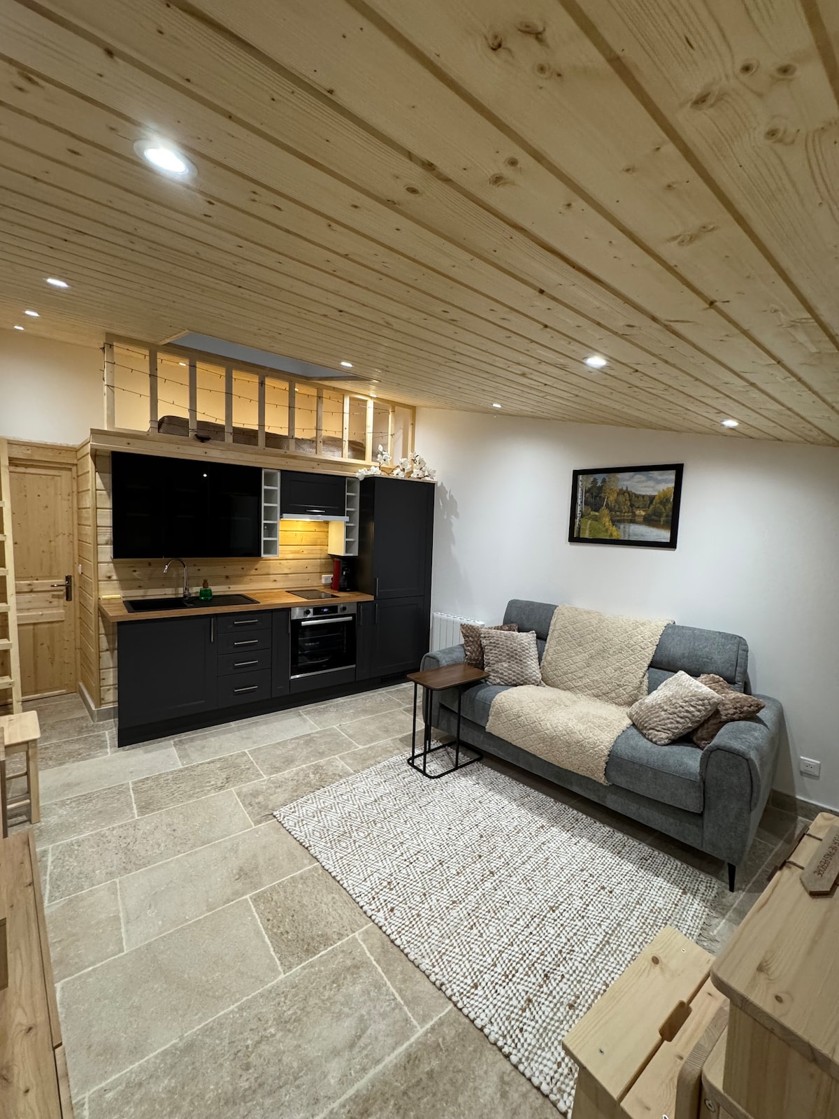 A cozy studio space features a gray sofa facing a wooden kitchen counter with modern appliances. Light wood paneling covers the ceiling, complemented by bright lighting. A textured area rug lies on the stone floor, while a wall-mounted artwork adds subtle character to the room.