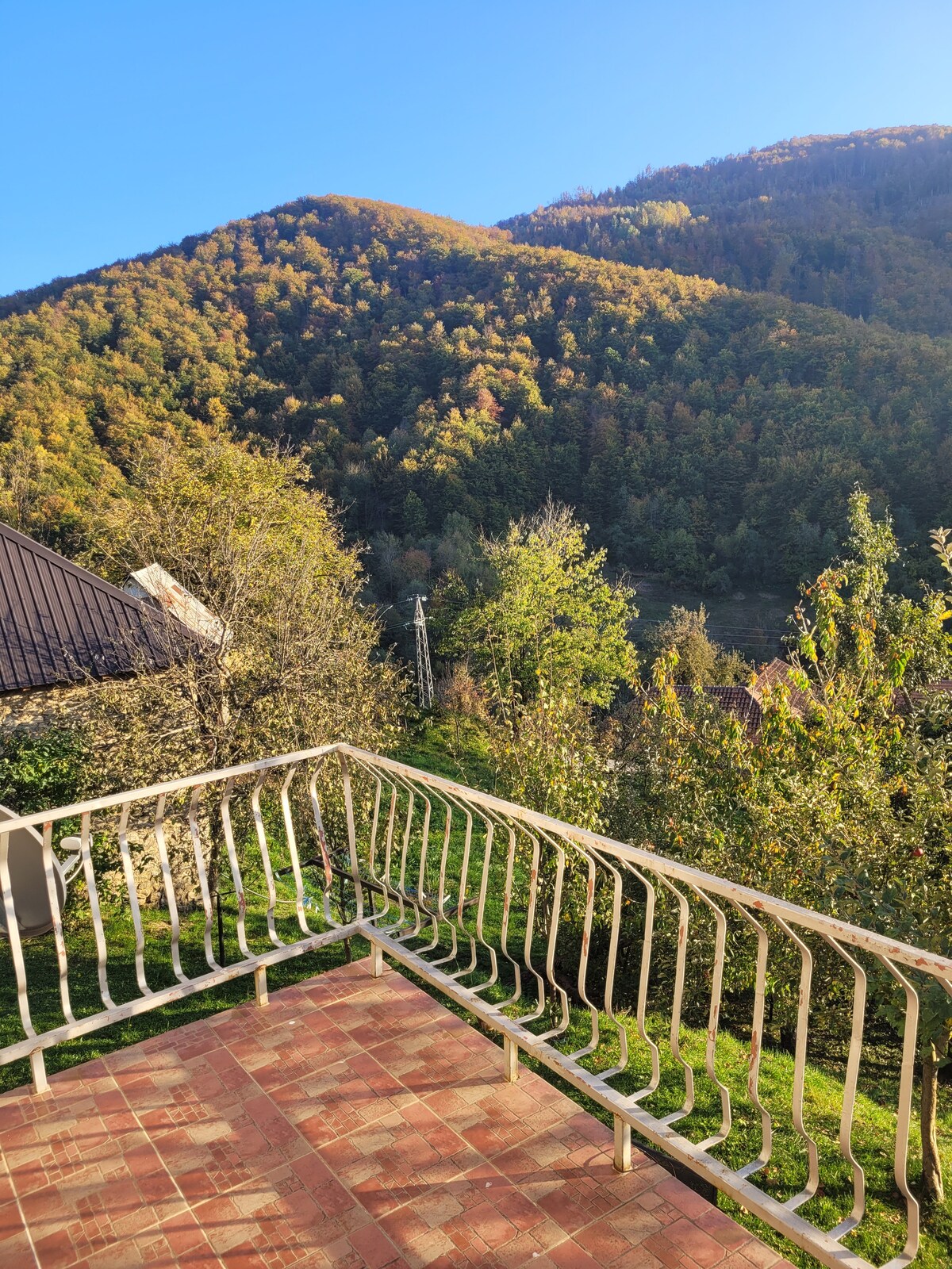A balcony offers a view of lush mountainsides covered in vibrant autumn foliage. The railing is intricately designed, and the tiled floor provides space for relaxation. Surrounding greenery adds to the natural ambiance of the outdoor setting.