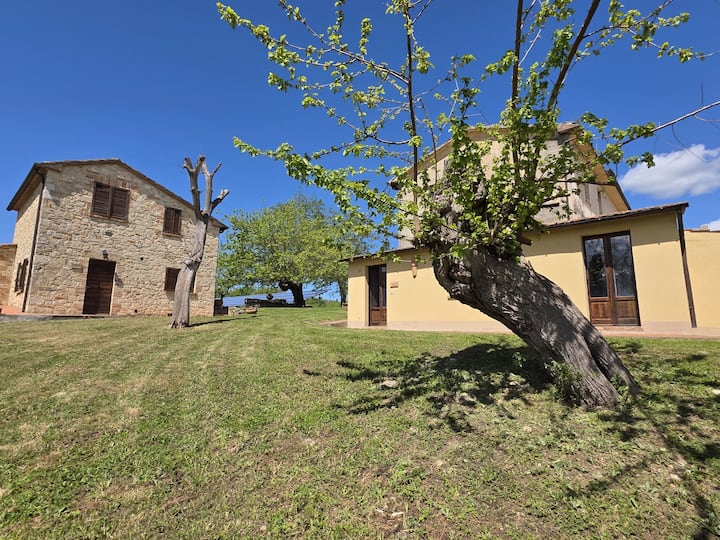 Bilocale In Giardino La Vigna . - Chianciano Terme