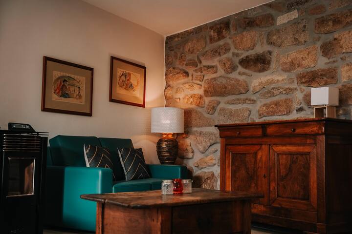 Casa Da Mina "Carqueja"- Pendilhe - Vila Nova de Paiva