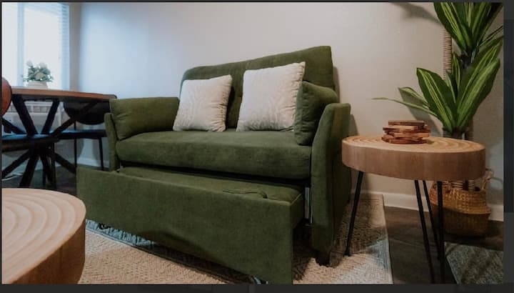 Relaxing Studio Retreat 
Downtown Austin View - Austin, TX
