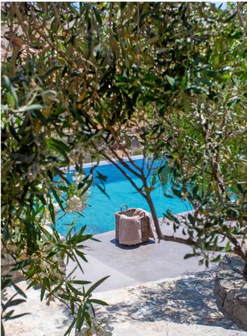 Private Villa Verdigris, Infinity Pool Sea Views. gallery image 3