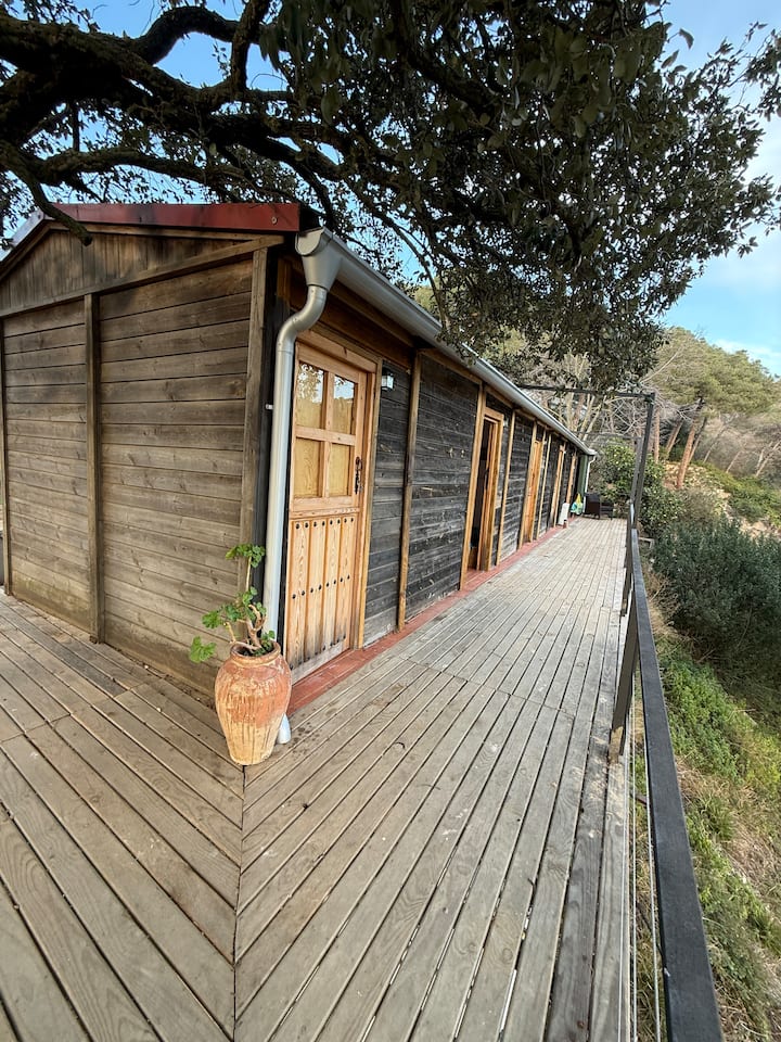 Habitaciones En La Naturaleza - Argentona
