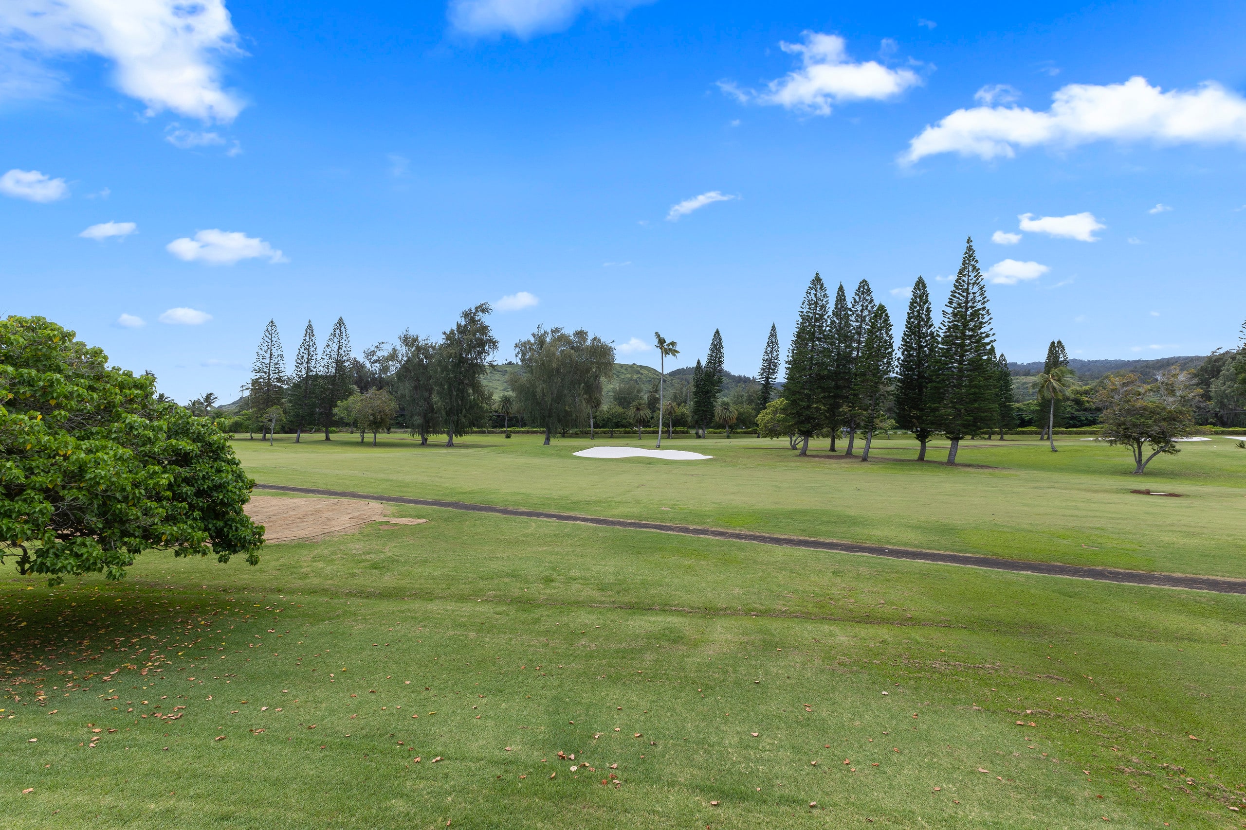 1BR Loft on Golf Course | Walk to Turtle Bay Beach - Image 22
