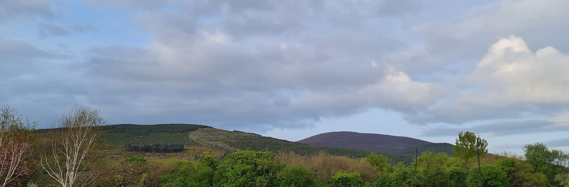 Slievenamon View