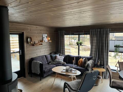 Successful Airbnb property: New and modern cabin in Brokke in Valle