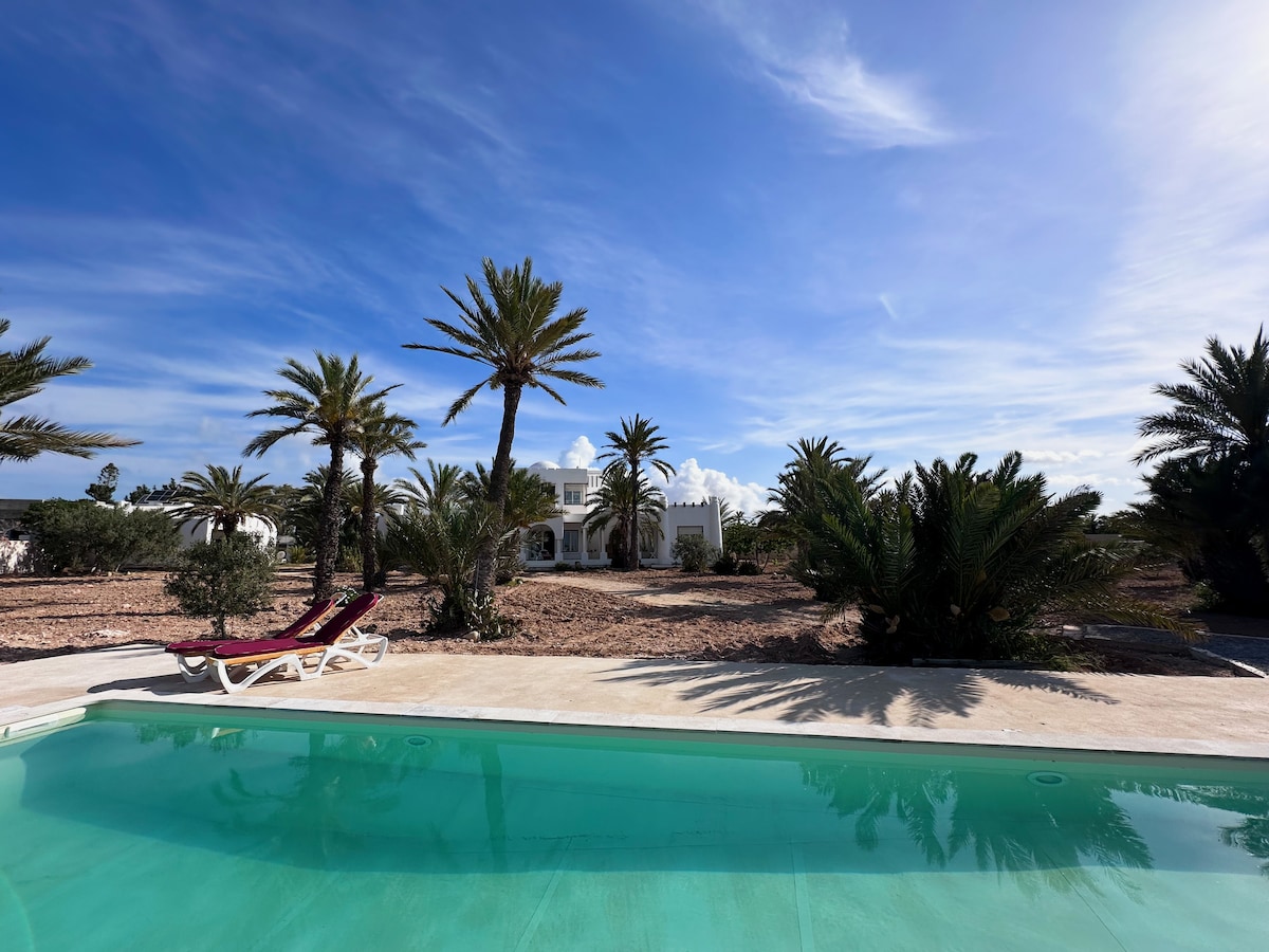 A clear view of a serene outdoor setting highlighted by a turquoise swimming pool in the foreground. Lush palm trees surround a spacious white house, with natural landscaping extending towards the horizon under a bright blue sky.