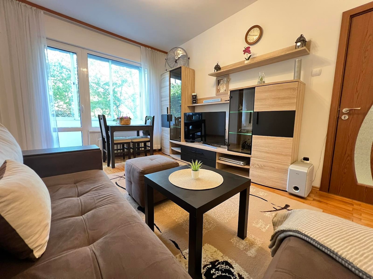 A cozy living room is presented, featuring a comfortable sofa, a low table, and a television unit. Natural light enters through large windows, illuminating the space. A dining area with a table and four chairs is positioned adjacent to the sofa, enhancing the room's functionality.