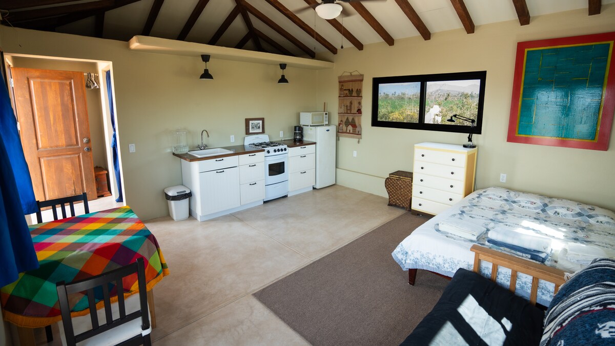 An open studio layout is highlighted, featuring a well-equipped kitchen area with modern appliances. A spacious bed is placed near a large window, allowing natural light to fill the room. A multicolored table and chairs create a cozy dining spot, complemented by a nearby dresser.