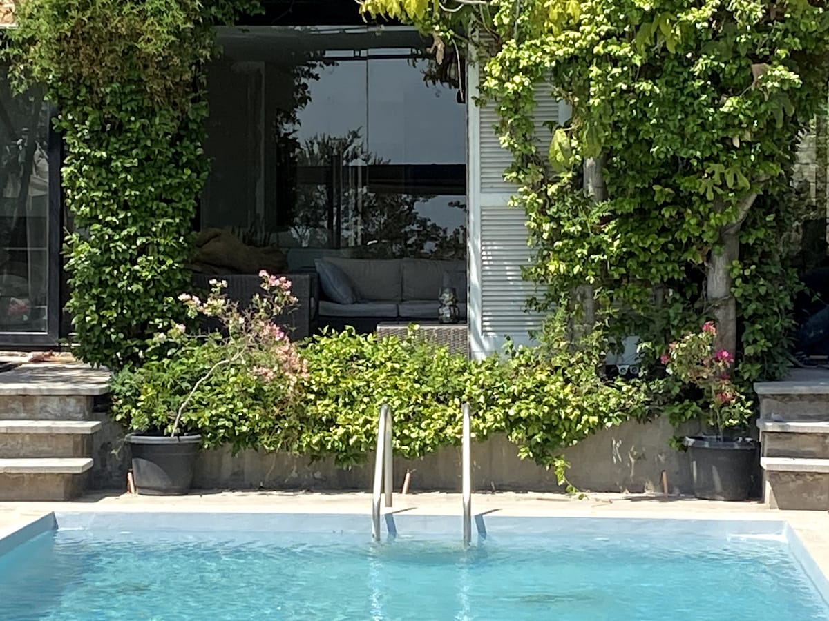 A private pool is surrounded by lush greenery, with steps leading up to a relaxation area. Large glass windows reveal a cozy living space, partially obscured by climbing plants. Vibrant flowers are strategically placed around the pool area, enhancing the natural surroundings.